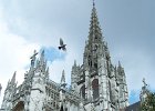 Photo 429  It was complete random chance that the we caught the pigeon in mid-flight.  (Rouen, France)